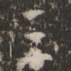 三