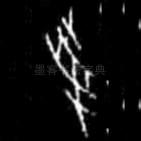 受