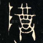 尊