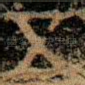 五