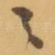 之