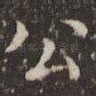 公