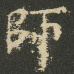 師