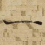 一
