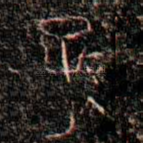 孫
