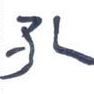 孔