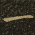 一