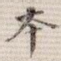 本