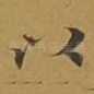 以
