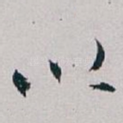 以