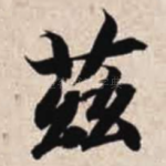 兹