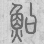 鮊