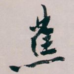 蕉