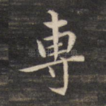 专