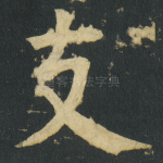 支