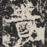 貴