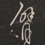 臂