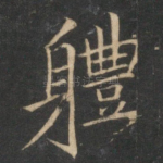 体