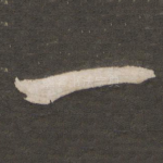 一