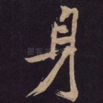 身