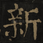 新