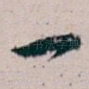 一