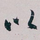 以