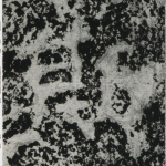 斯