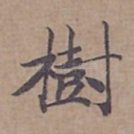 樹