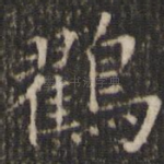 鸐
