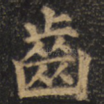 齿