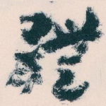體