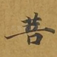 菩