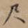 尺