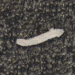 一