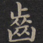 齿
