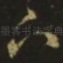 下