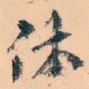 体