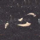 心