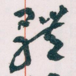 體