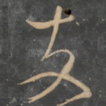 支