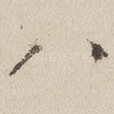 八