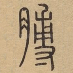 膊