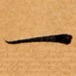一
