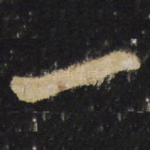 一