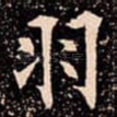 羽