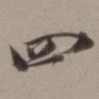 四
