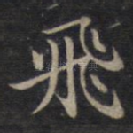 飞