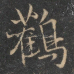 鹳