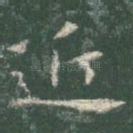 近